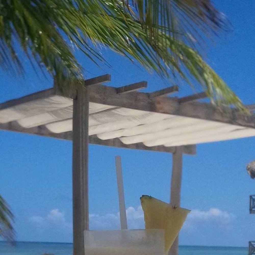 Meet your Posher, Basia