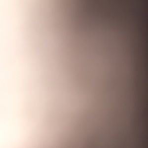 Meet your Posher, Bella