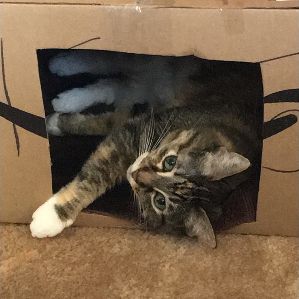 Meet your Posher, Angela