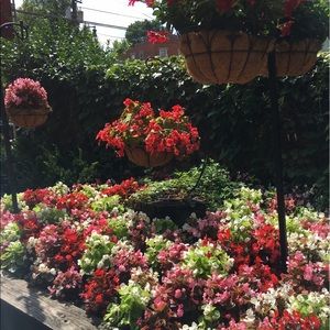 Meet your Posher, Jameson