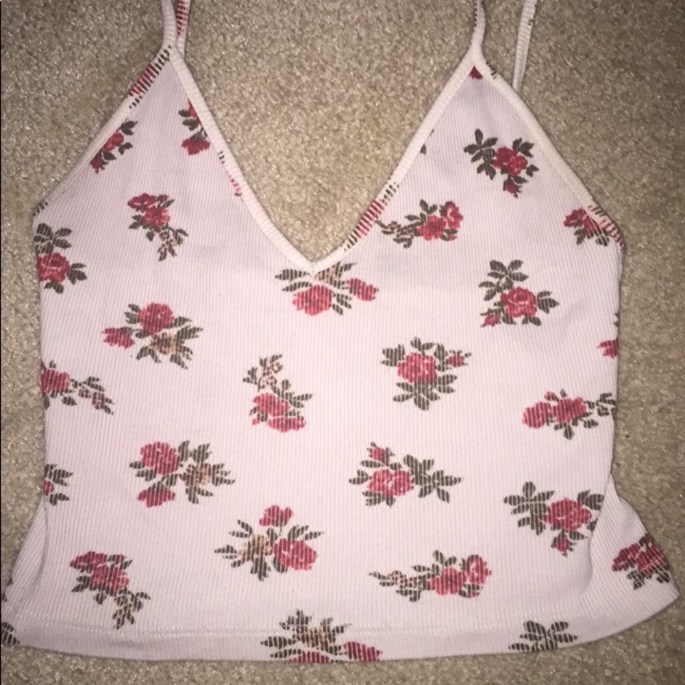 Brandy Melville Crop Top