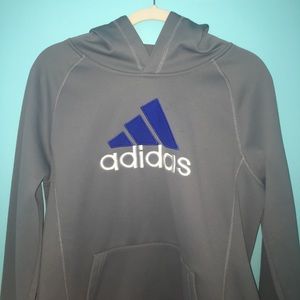 Gray adidas hoodie