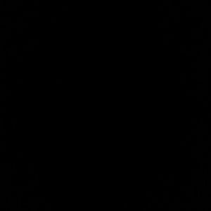 Meet your Posher, Ayan