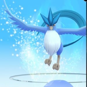 Meet your Posher, Abbie