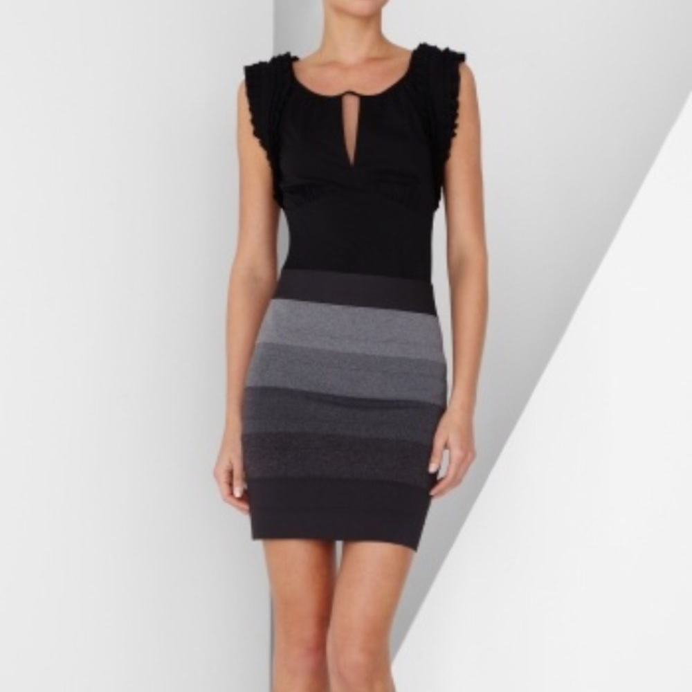 BCBG bandage skirt