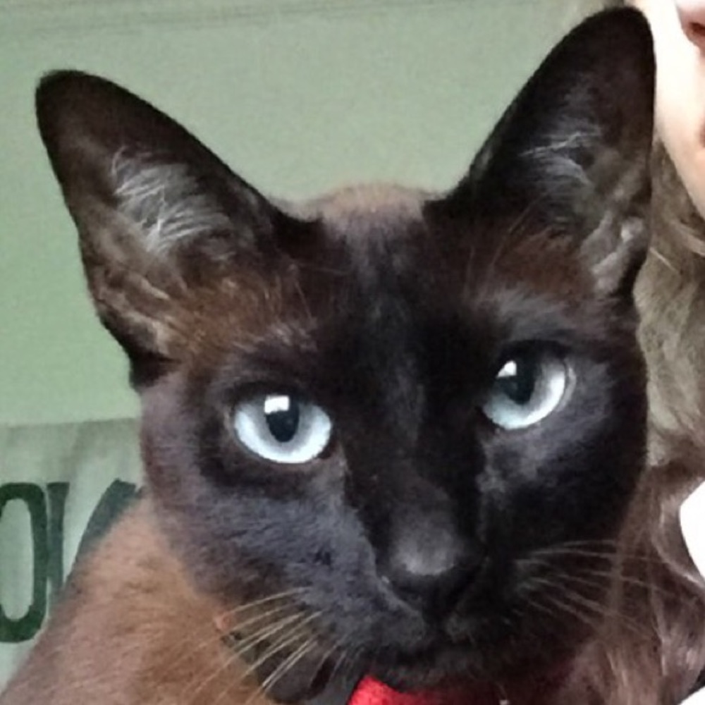 Meet your Posher, Laura