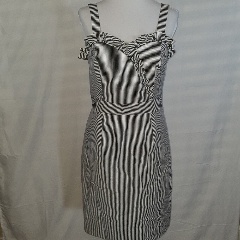 Cremieux Striped Dress Size 4