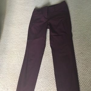 Merlot dress pants