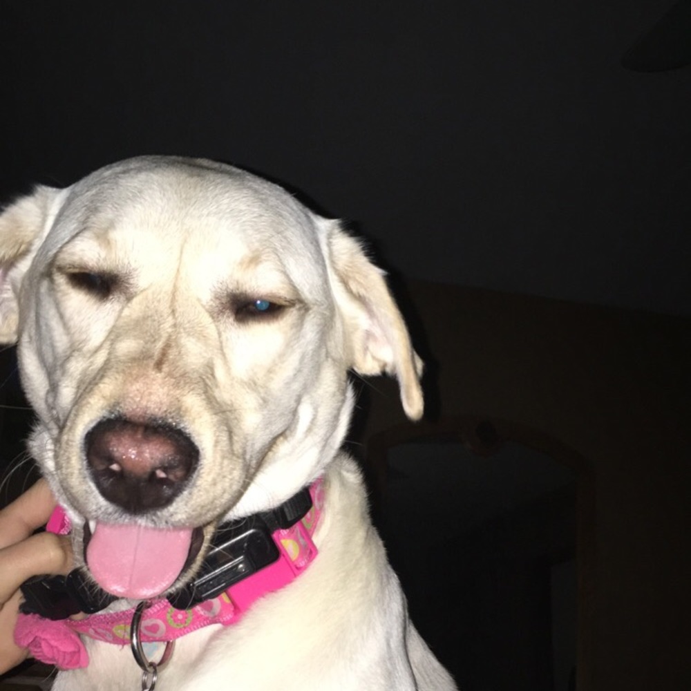 Meet your Posher, Jack