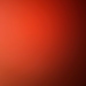 Meet your Posher, Lexi