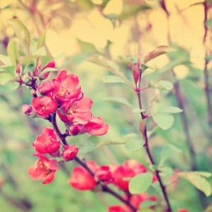 Meet your Posher, Maggie