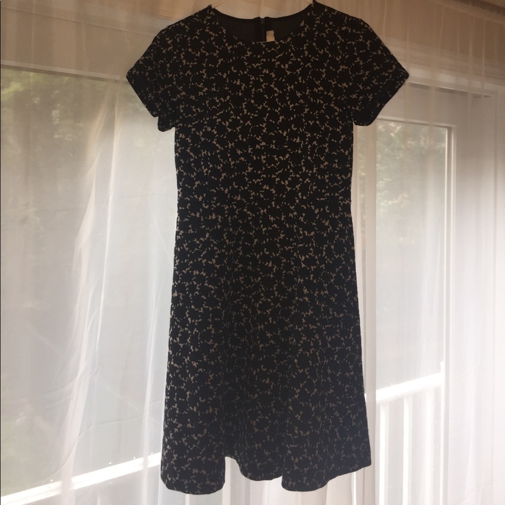 LOFT size 2 dress mostly polyester.