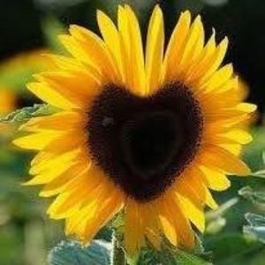 Meet your Posher, Glenda