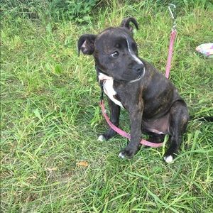 Meet your Posher, Jon