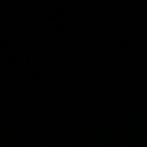 Meet your Posher, Starr