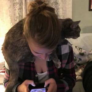 Meet your Posher, Amy