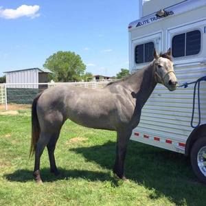 Meet your Posher, Gail