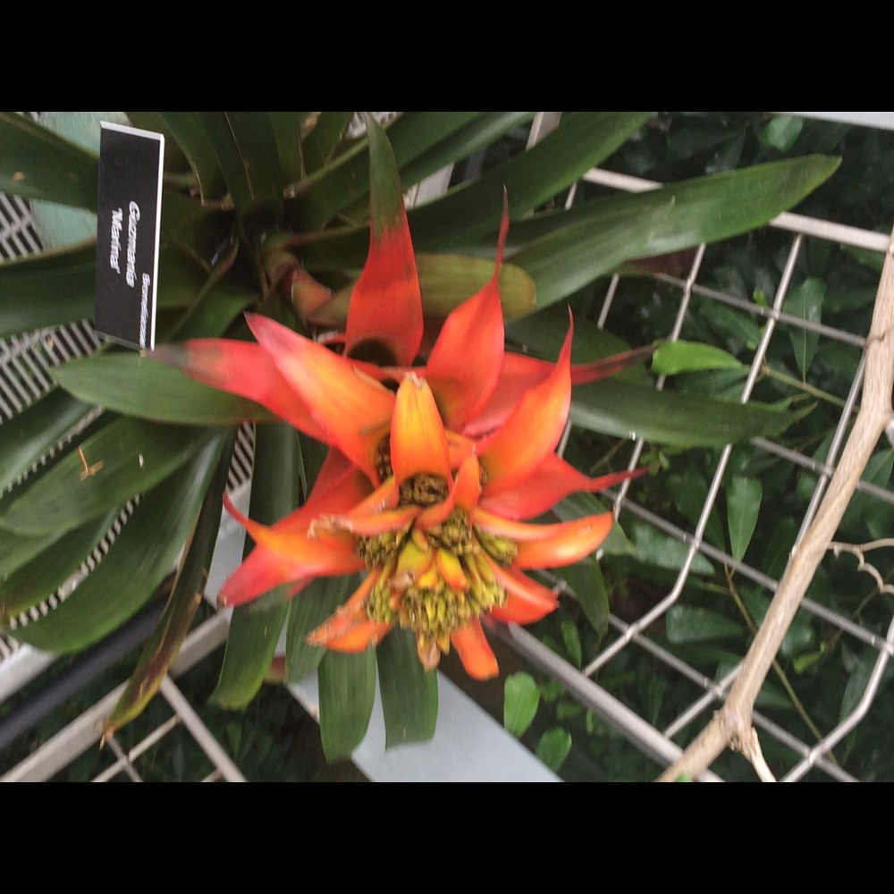 Meet your Posher, Jade