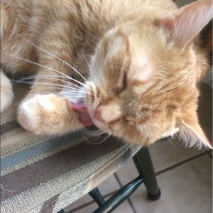 Meet your Posher, Melanie