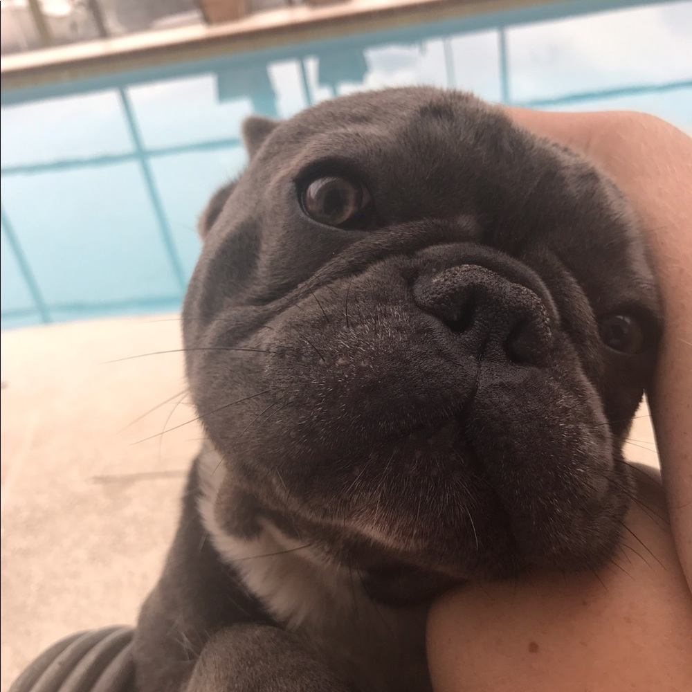 Meet your Posher, Jessica