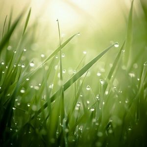 Meet your Posher, Shalene