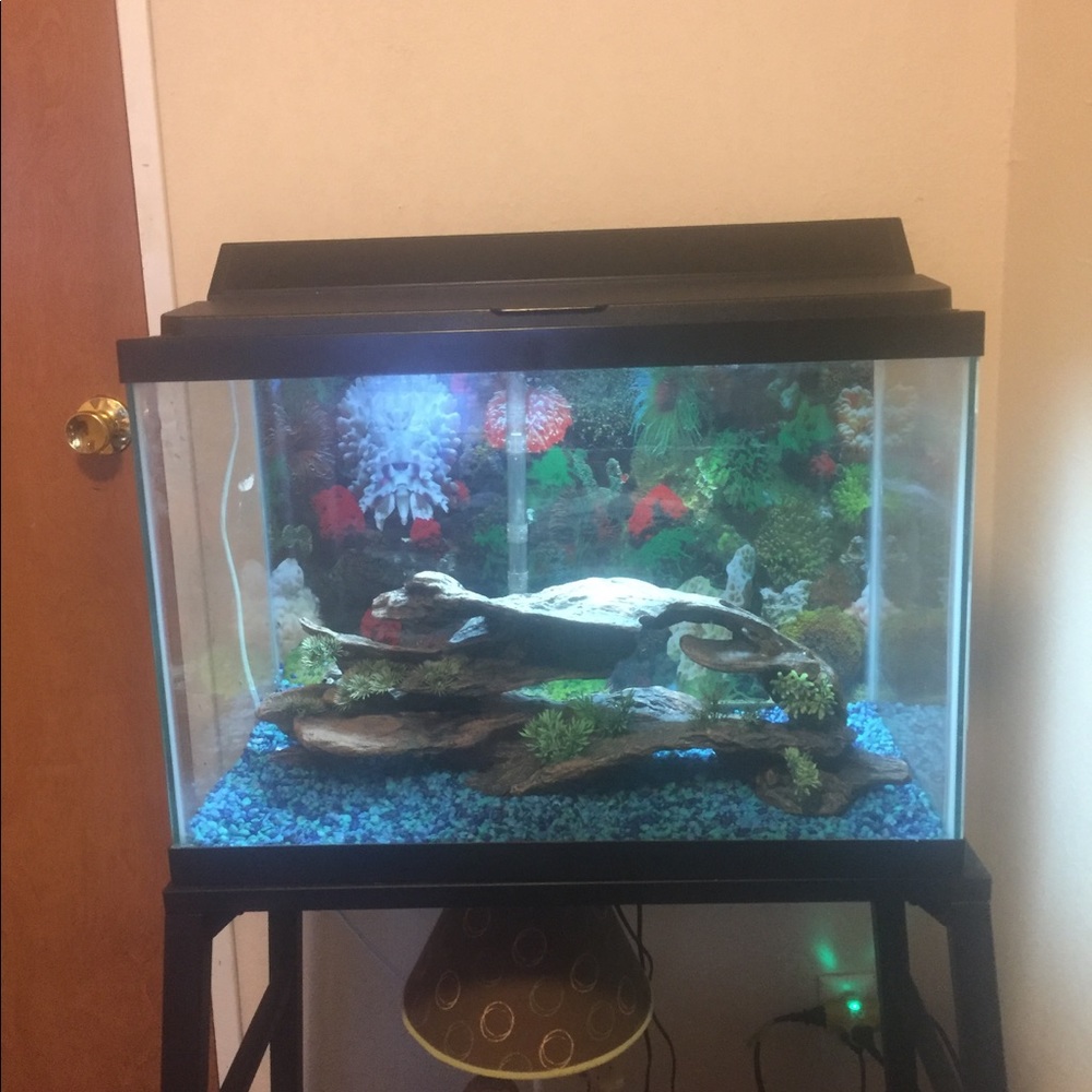 Fish tank with stand