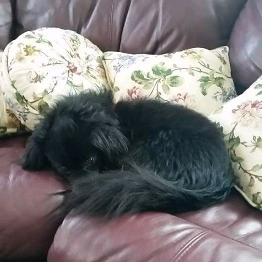 Meet your Posher, Patti