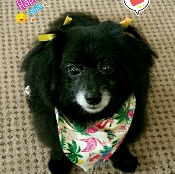 Meet your Posher, Patti - Picture 8 of 10