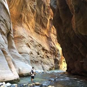 Meet your Posher, Ben