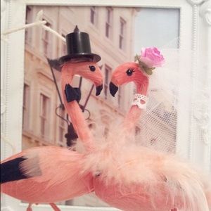 Meet your Posher, Logan