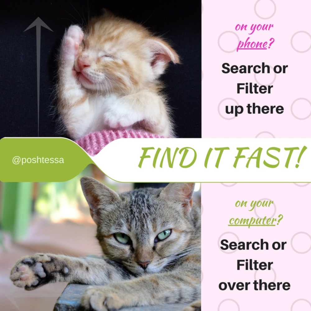 Find it Fast! Search or Filter...