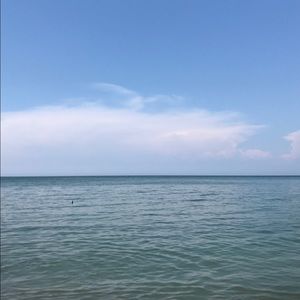 Meet your Posher, Olive