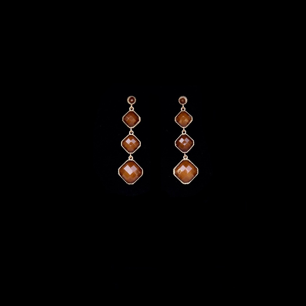 Brown & Gold dangling earrings