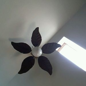 Meet your Posher, Danica