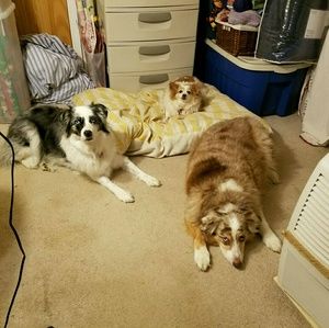 Meet your Posher, Robin