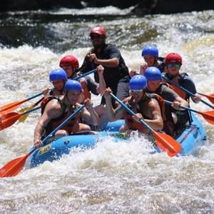 Meet your Posher, Allyson