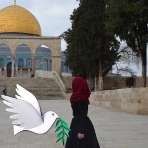 Meet your Posher, Suhad