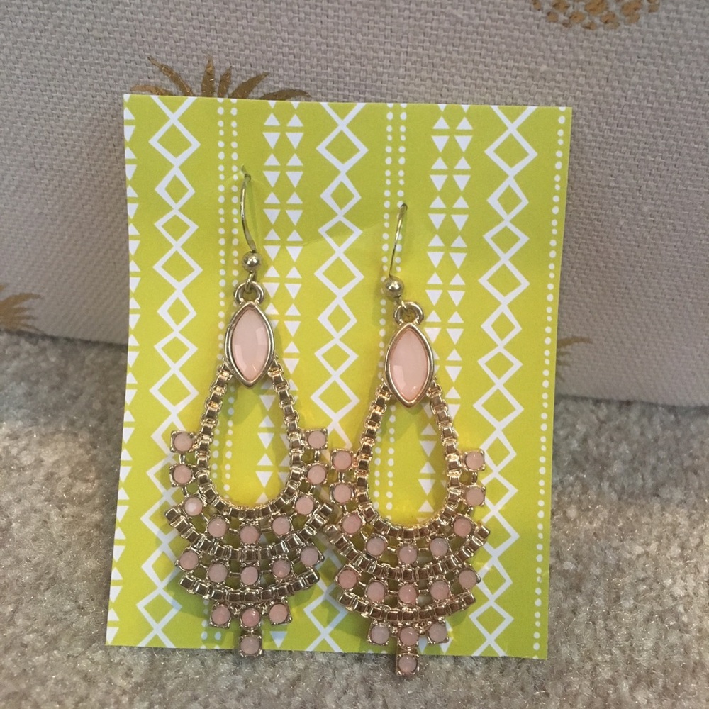 Earrings - Never worn