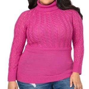 Turtle neck cute sweater! NWT 22/24