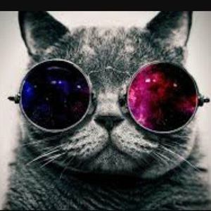 Meet your Posher, Jose