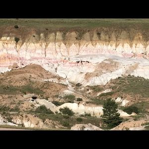 Meet your Posher, Chad