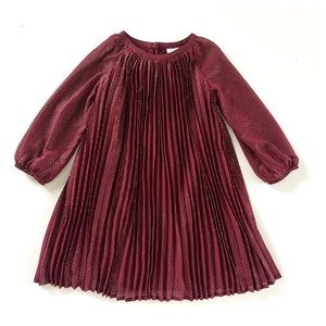 GAP Merlot Pleated Fancy Dress
