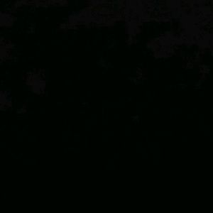 Meet your Posher, Dariana