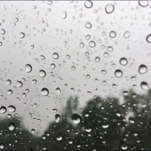 Meet your Posher, Michaela