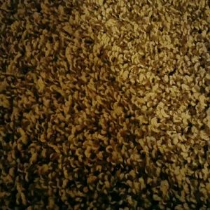 Meet your Posher, Carina