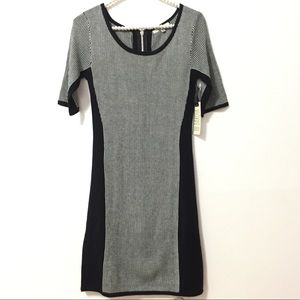 BB dakota dress