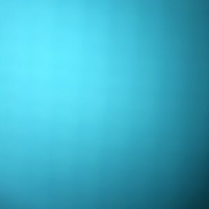 Meet your Posher, Jaylen