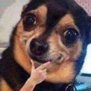 Meet your Posher, Aixa