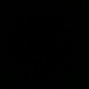 Meet your Posher, Alvin