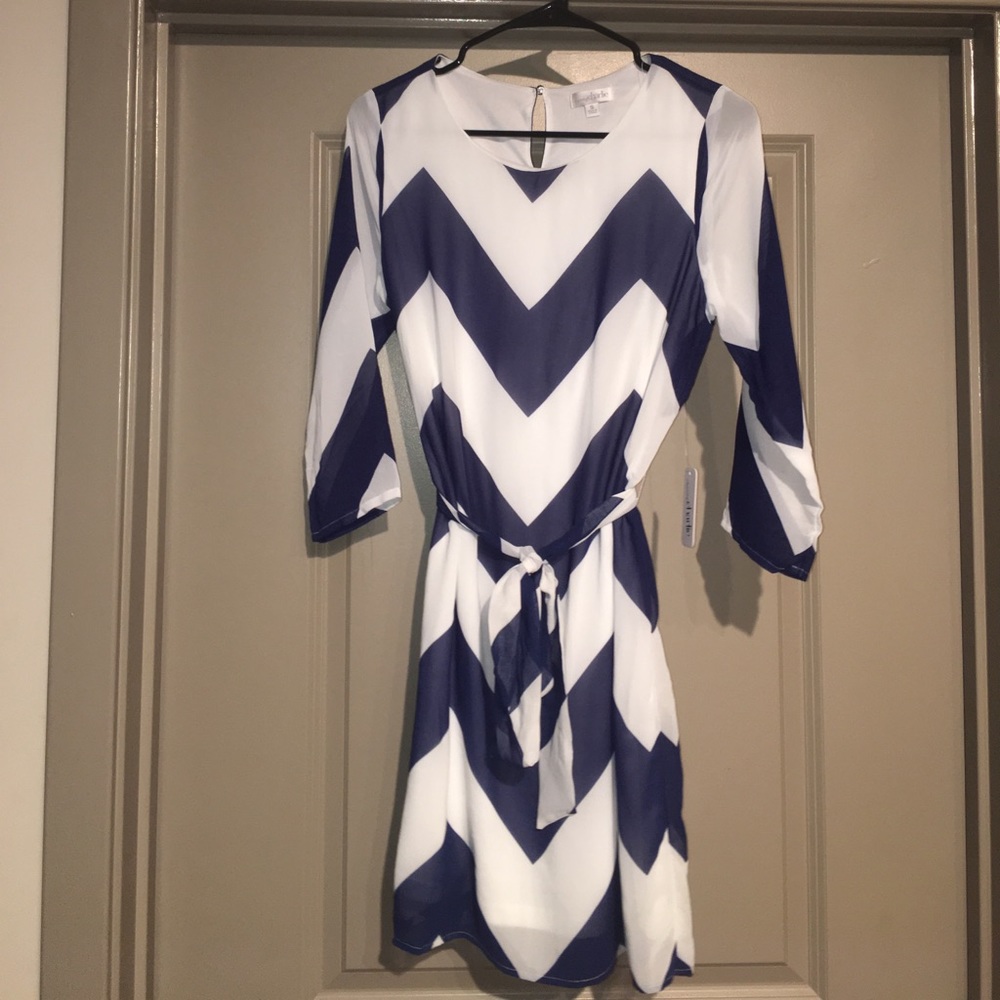 Charming Charlie Chiffon Dress